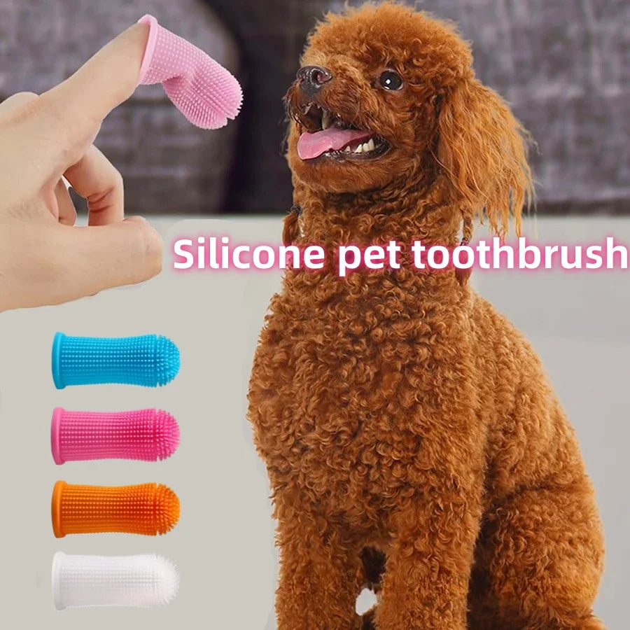 FreshPaw Brush