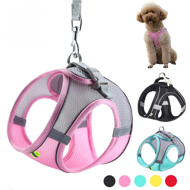 PupEase Harness
