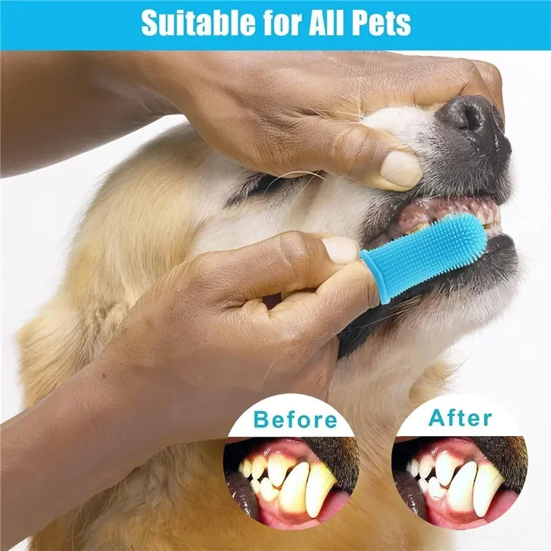 FreshPaw Brush